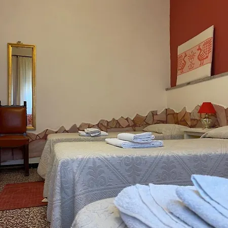 Salfera5 *