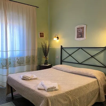 Salfera5 * Olbia